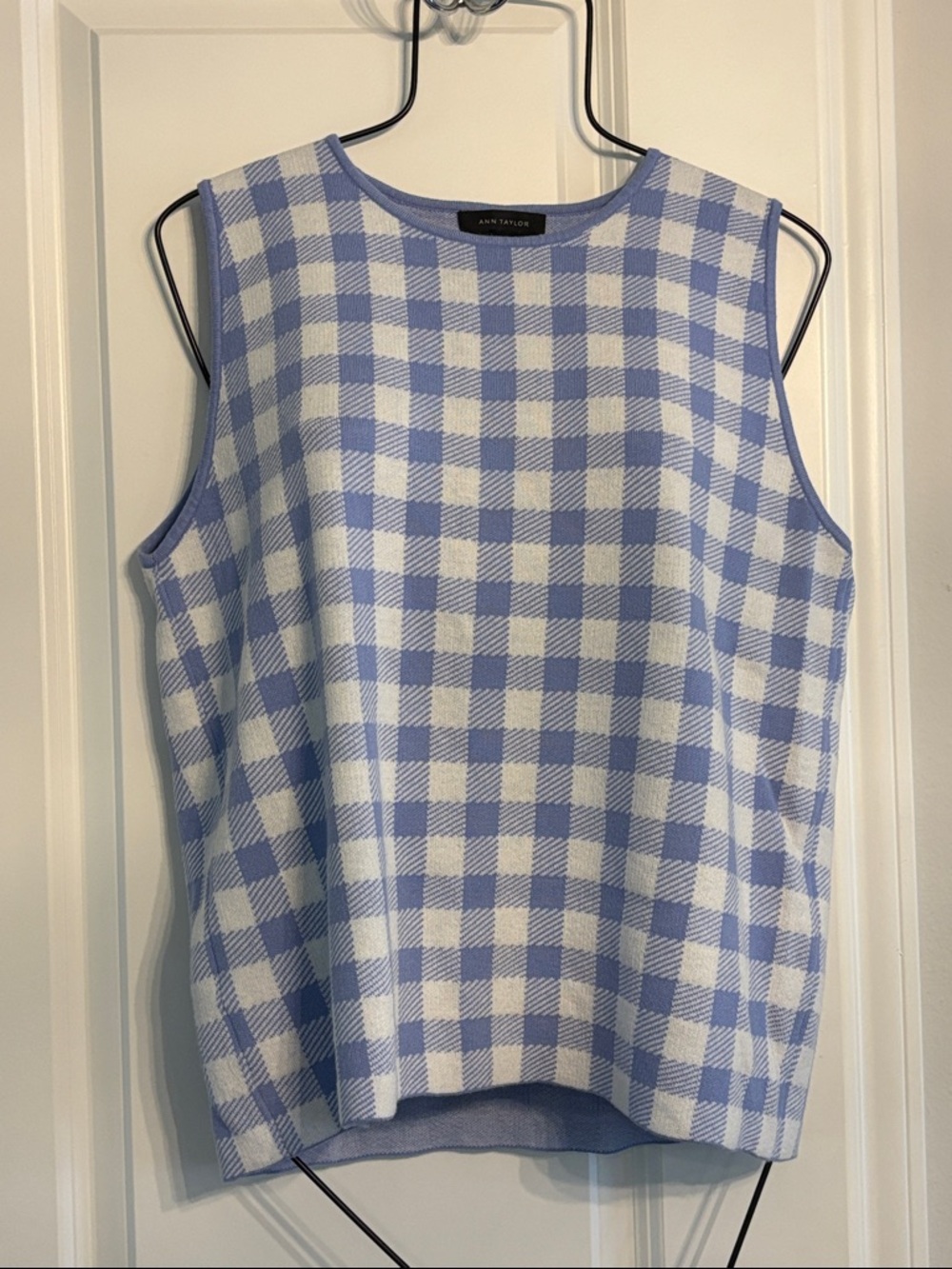 NWT Sleeveless blue gingham Sweater Top - size L